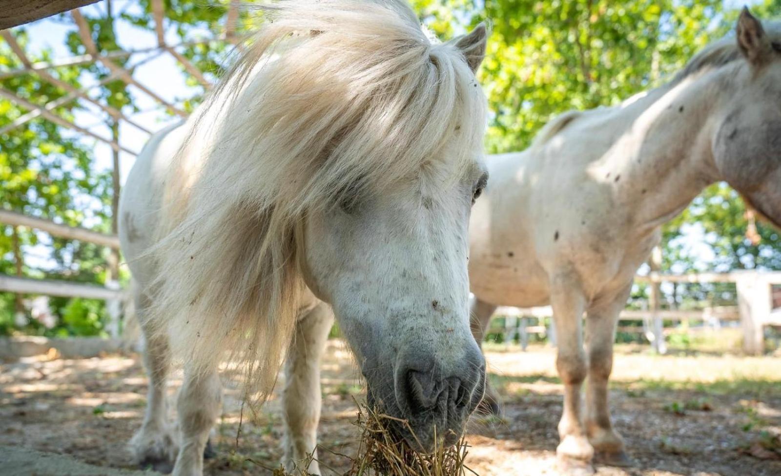 Domeniile Clos Des Colombes Douazeci si Trei August Bagian luar foto